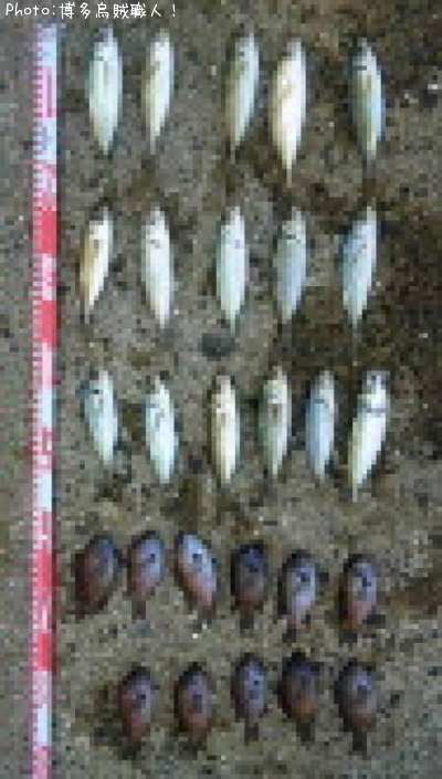 ���ȥ��������