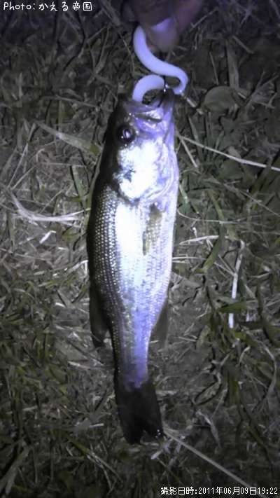 �֥�å��Х�