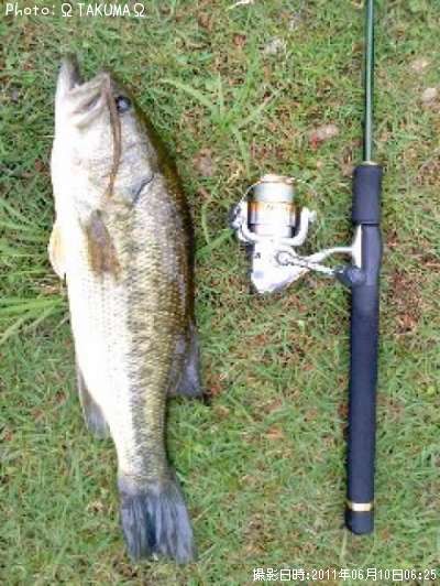 �֥�å��Х�