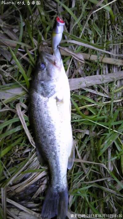 �ȥå��������֥�å��Х�