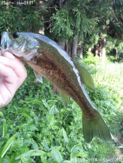 �֥�å��Х�