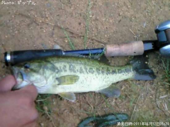 �֥�å��Х�