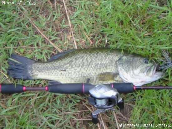 �֥�å��Х�