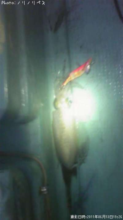 �����ꥤ��