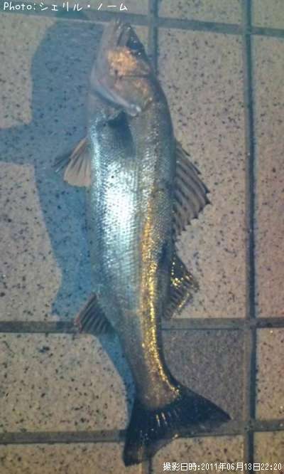 �����Х�