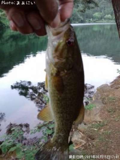 �֥�å��Х�