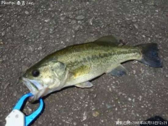 �֥�å��Х�