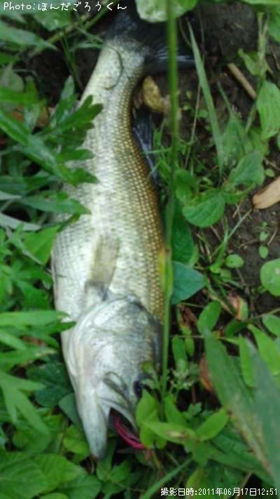 �֥�å��Х�