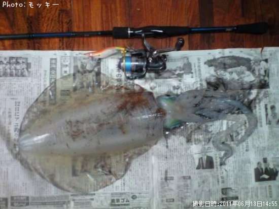 �����ꥤ��