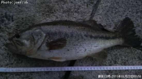 �֥�å��Х�