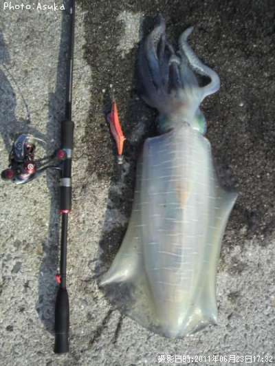 �����ꥤ��