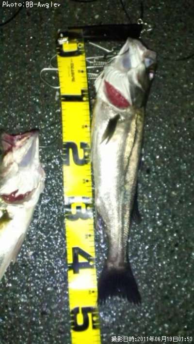 �����Х�