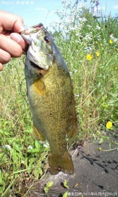 �֥�å��Х�