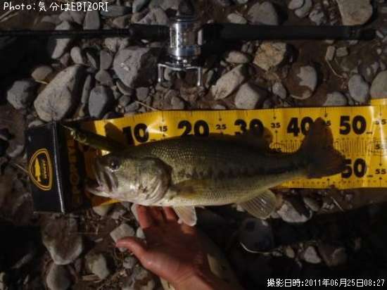 �֥�å��Х�