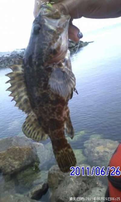 �����Υ���Х�