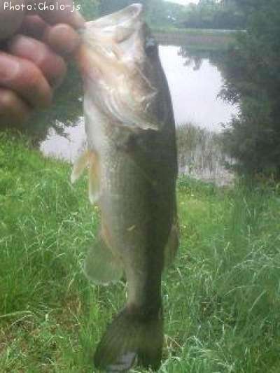 �֥�å��Х�