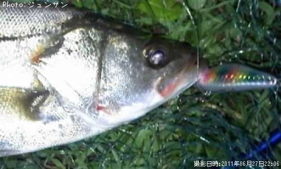 �����Х�