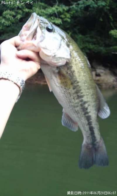 �֥�å��Х�