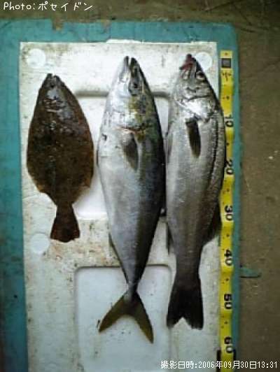 �ϥޥ����ҥ�ᡦ�����Х�