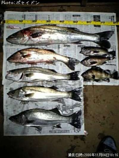 �����Х�