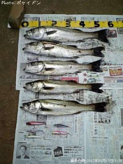 �����Х�