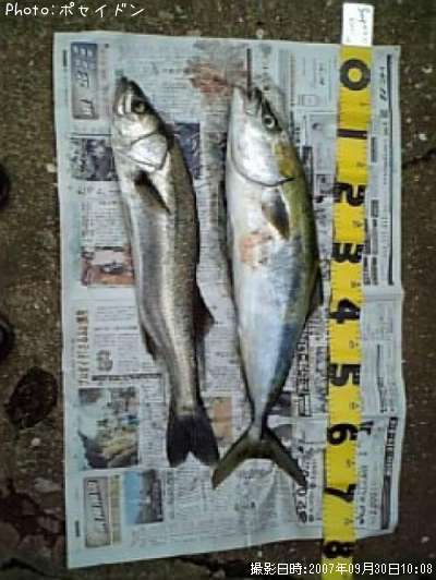 �ϥޥ��������Х�