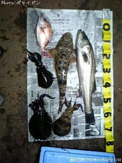 �����Х����ޥ������ޥ����������ꥤ��