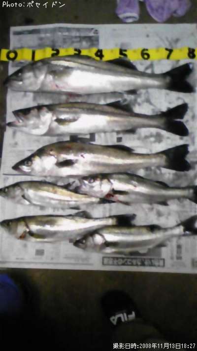 �����Х�