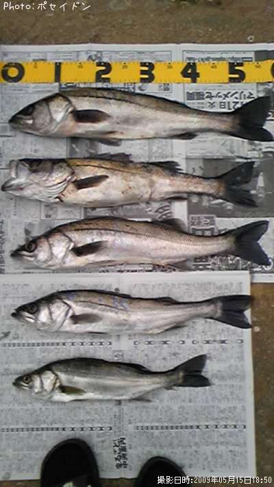 �����Х�