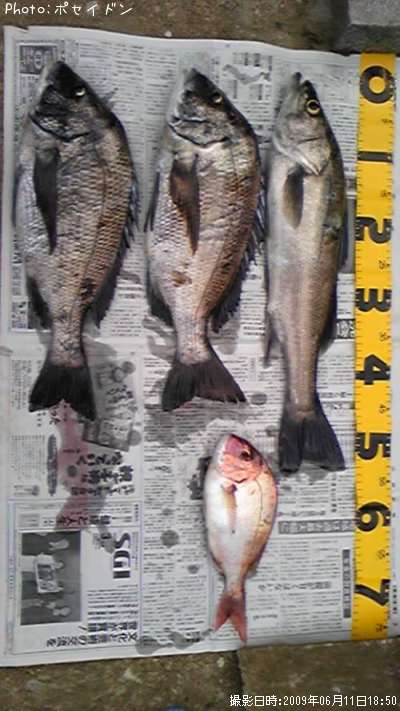 �����Х������̡��ޥ���