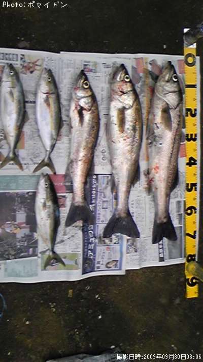 �����Х����䥺