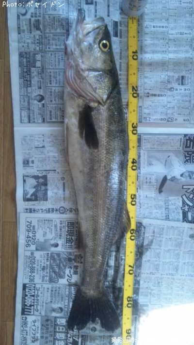 �����Х�