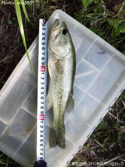 �֥�å��Х�