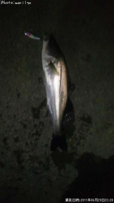 �����Х�