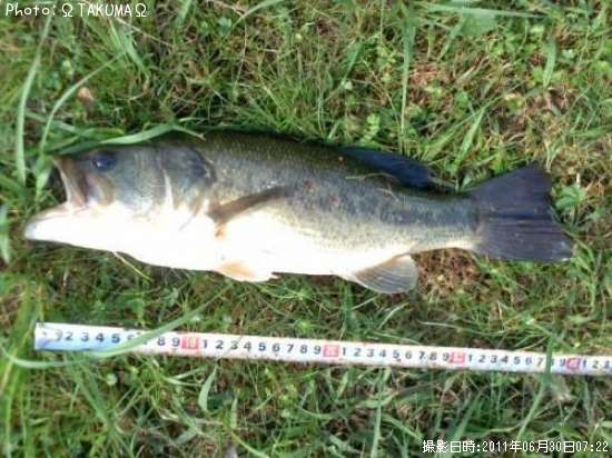 �֥�å��Х�