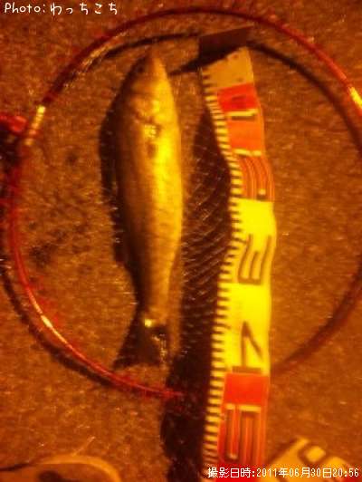 �����Х�