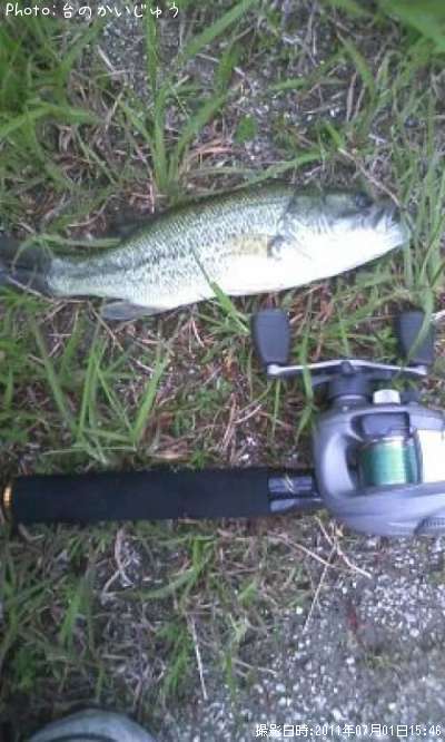 �֥�å��Х�