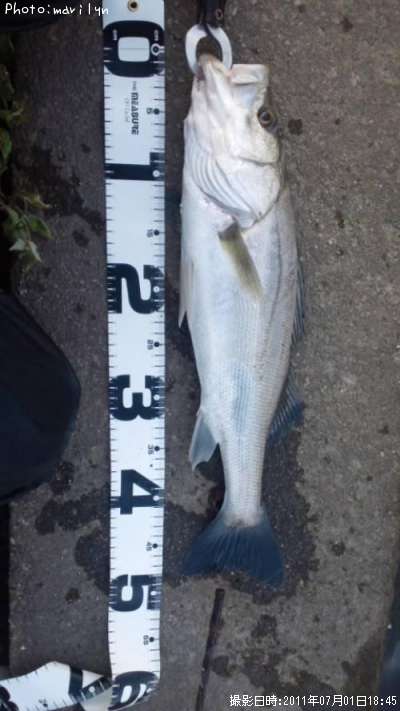 �����Х�