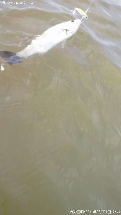 �����Х�