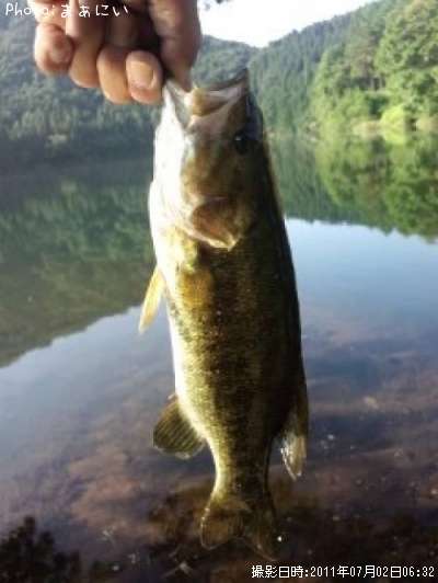 �֥�å��Х�