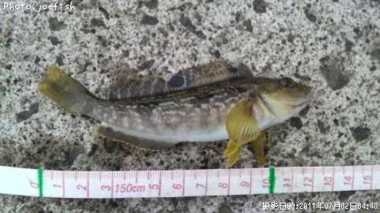 �����ʥ�