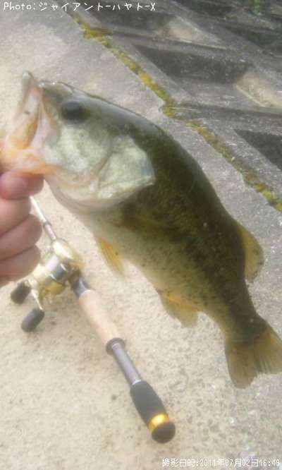 �֥�å��Х�