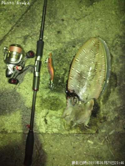 ��󥴥�����