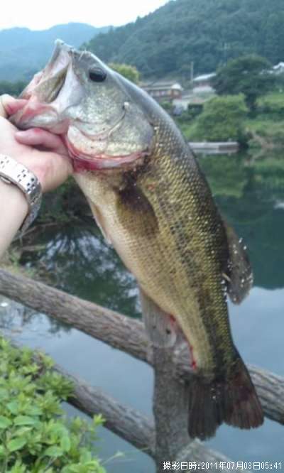 �֥�å��Х�