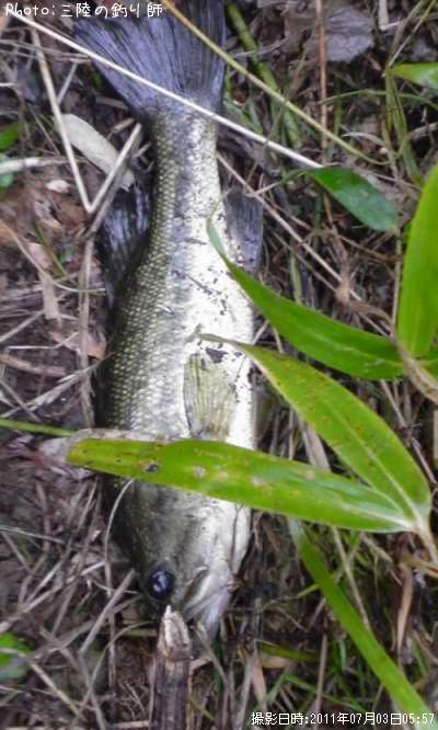 �֥�å��Х�