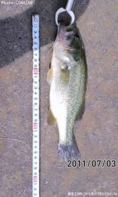 �֥�å��Х�