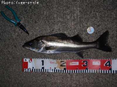 �����Х�