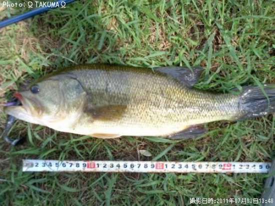 �֥�å��Х�