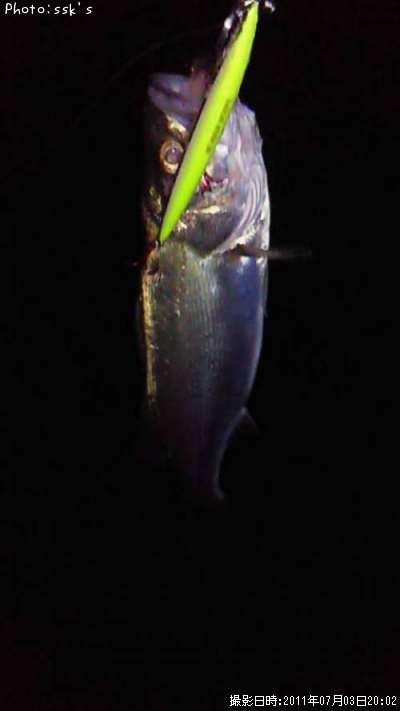 �����Х�