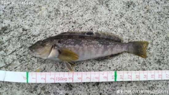 �����ʥ�